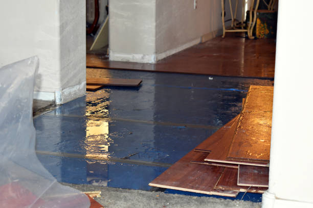 Professional Burst Pipe Cleanup technician working in Medina, WA